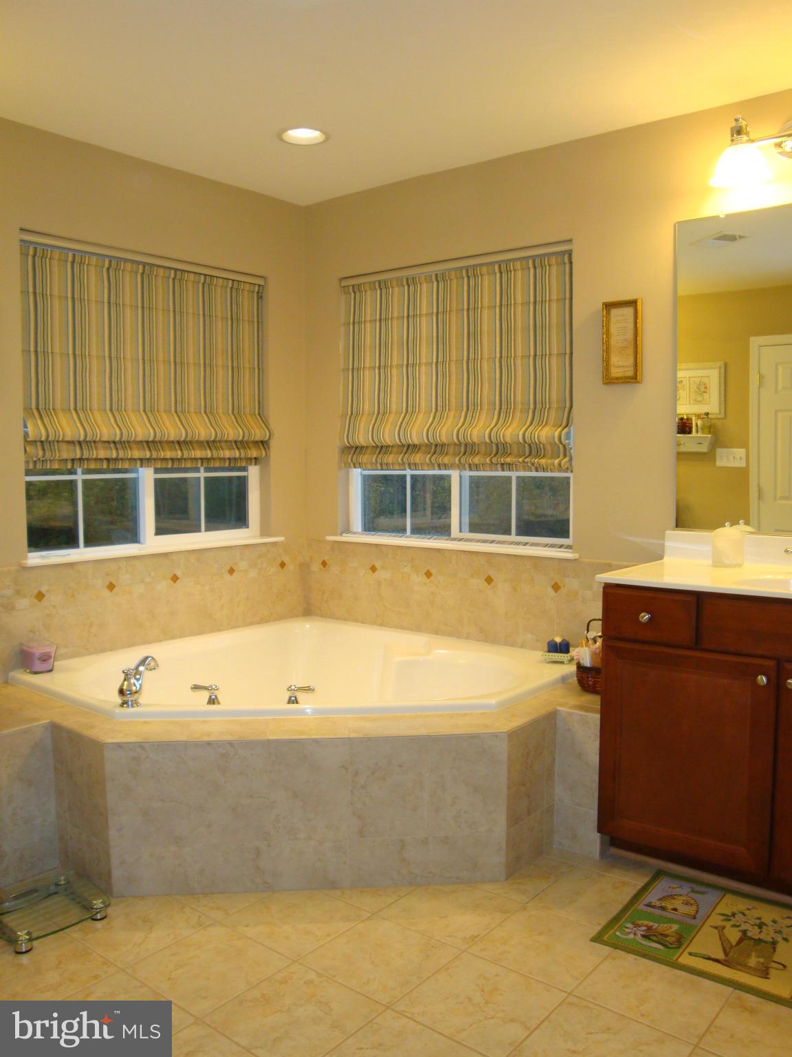 821 Kingsbrook Road Culpeper, VA 22701 - Photo 16 of 26 Bath (Master)