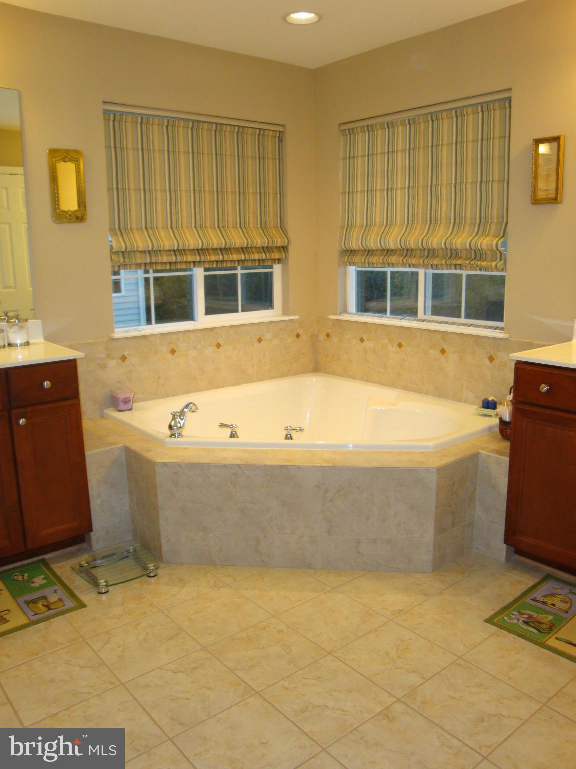 821 Kingsbrook Road Culpeper, VA 22701 - Photo 18 of 26 Bath (Master)