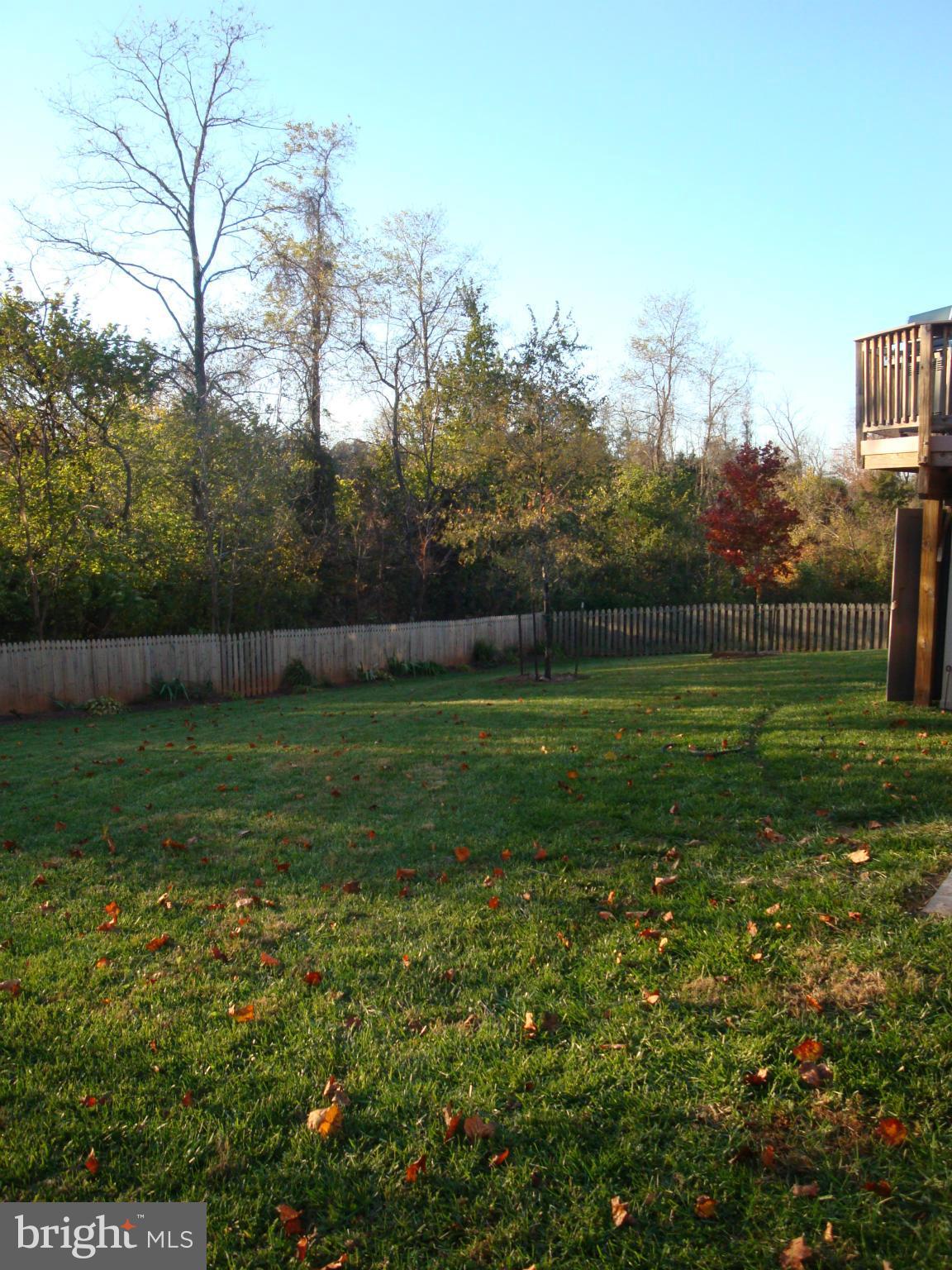 821 Kingsbrook Road Culpeper, VA 22701 - Photo 26 of 26 Back yard