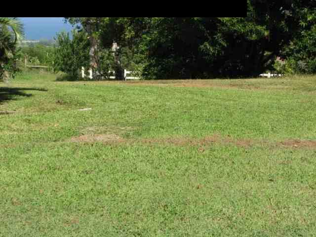 830 West Kuiaha Road Haiku, HI 96708 - Photo 8 of 15 a view of outdoor space and yard