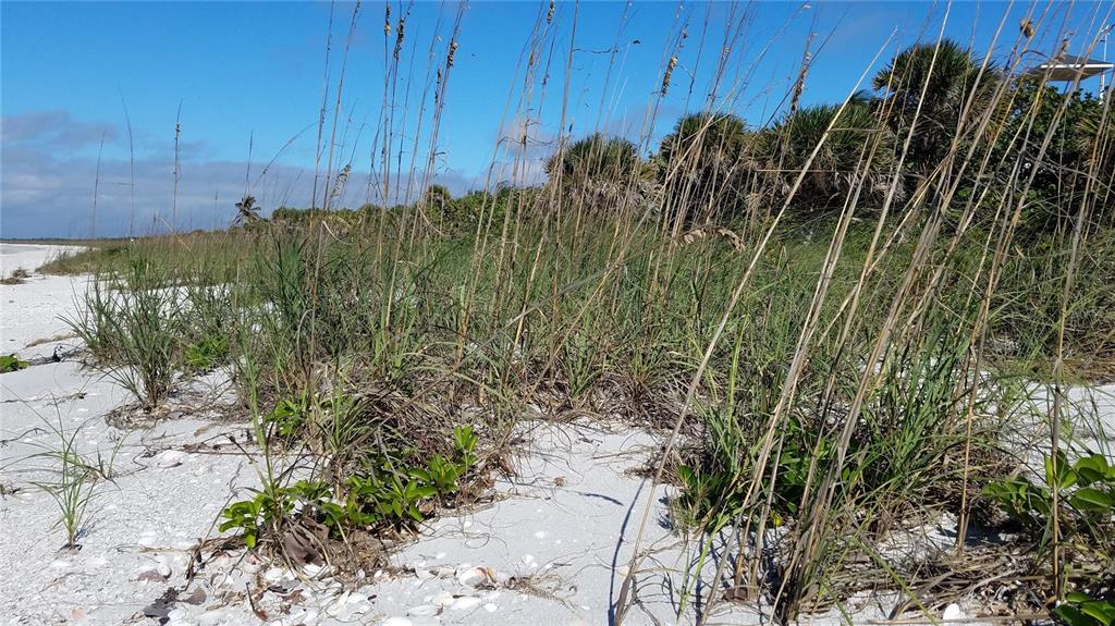 Access Undetermined Boca Grande, FL 33921 - Photo 8 of 11