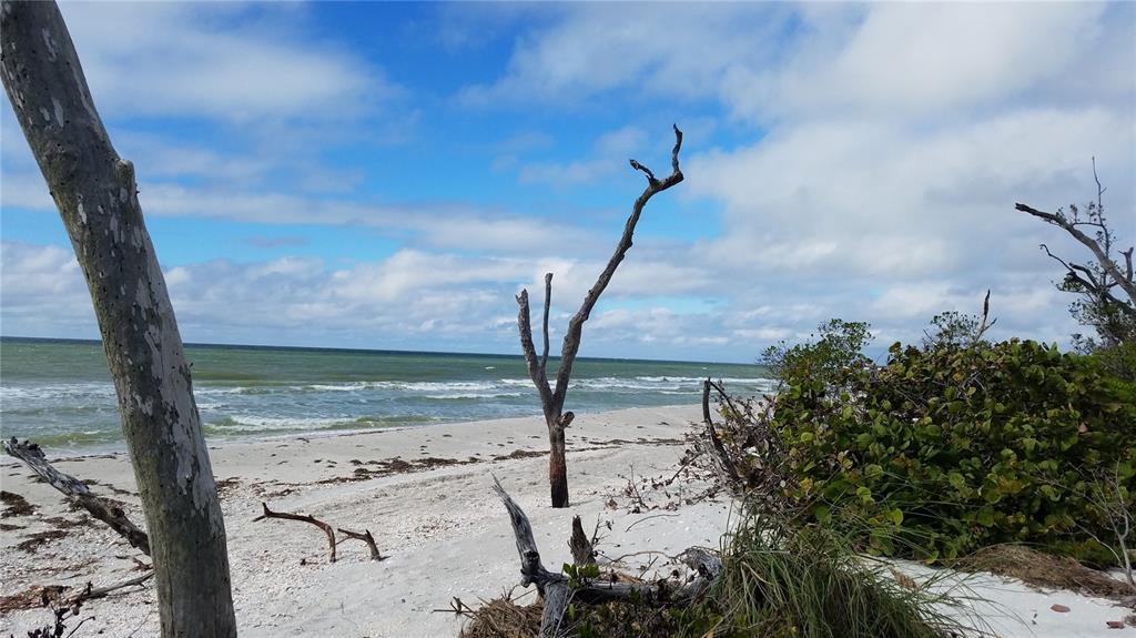 Access Undetermined Boca Grande, FL 33921 - Photo 9 of 11