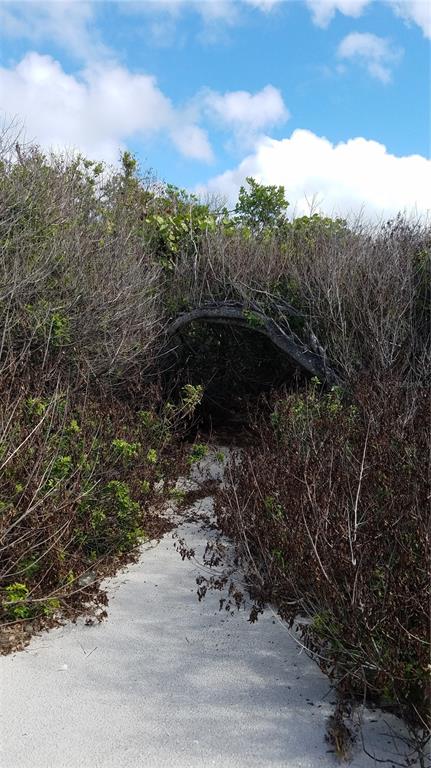 Access Undetermined Boca Grande, FL 33921 - Photo 10 of 11