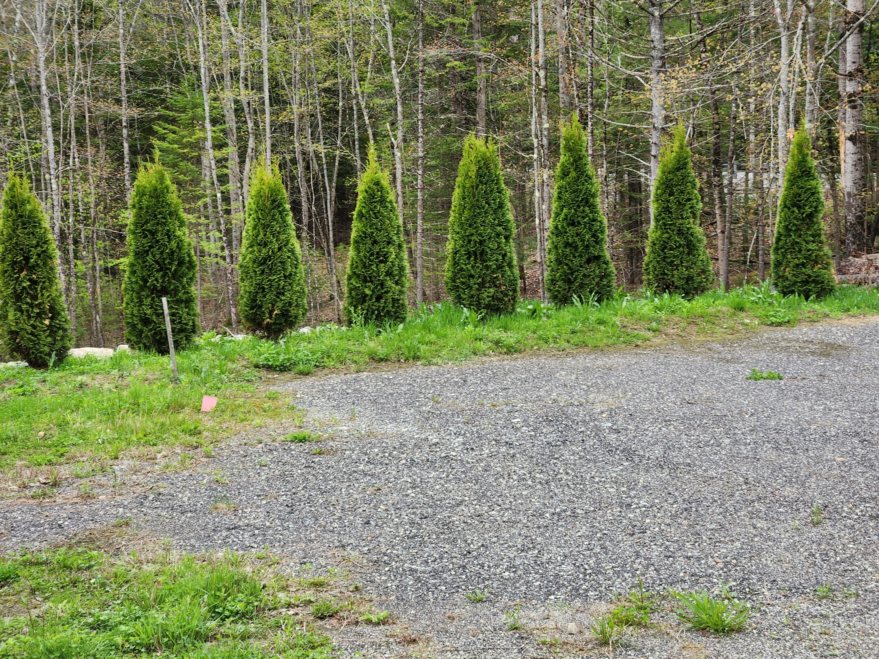 146 Ferry Road Lisbon, ME 04250 - Photo 8 of 23 20250509_144342