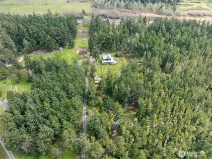 a view of a forest with a street