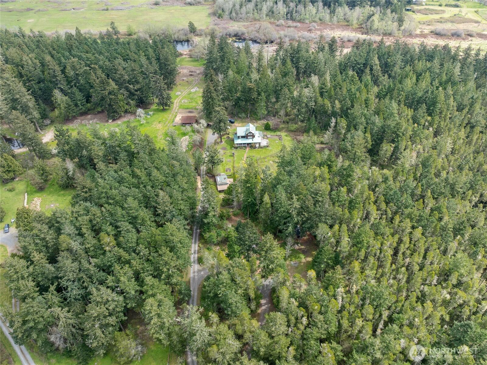 1763 Center Road Lopez Island, WA 98261 - Photo 35 of 40 a view of a forest with a street
