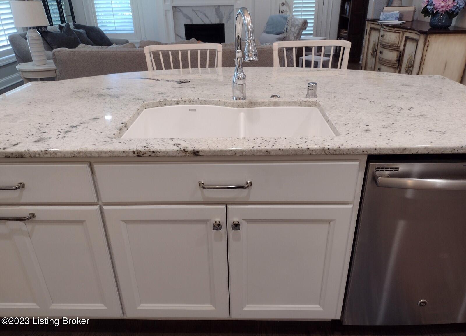 225 Maple Valley Road Louisville, KY 40245 - Photo 10 of 69 kitchen Blanco sink and island
