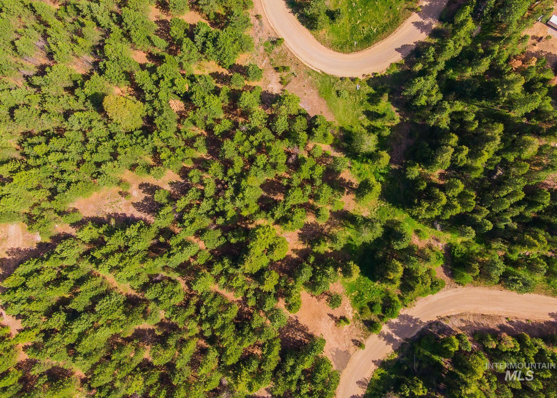 Lot 51 Price Loop Cascade, ID 83611 - Photo 4 of 26