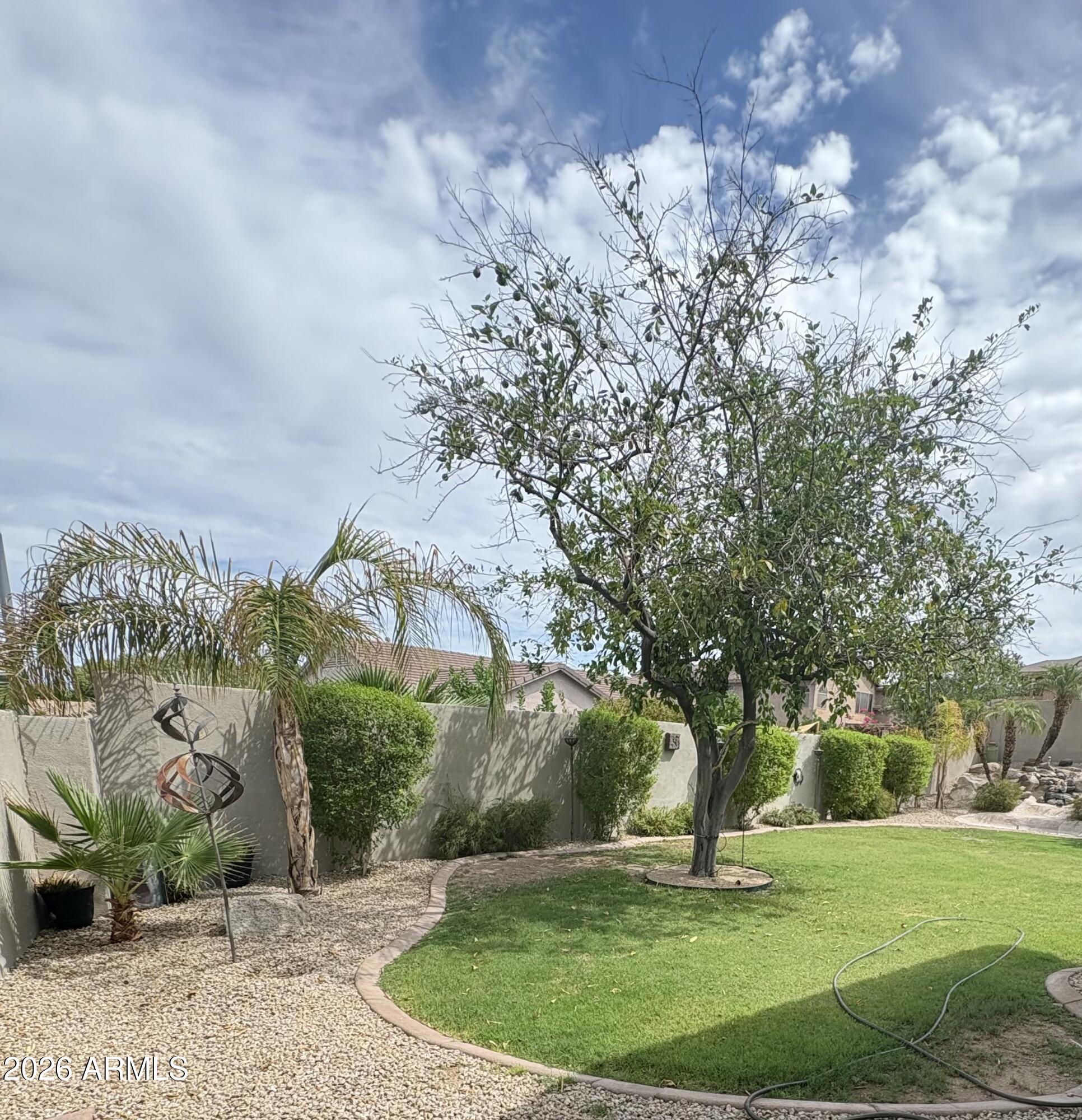 6352 West Briles Road Phoenix, AZ 85083 - Photo 10 of 30 IMG_0569