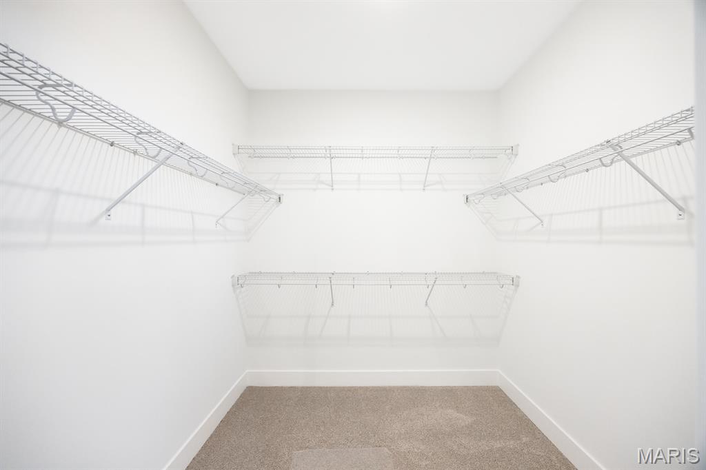 801 Golden Bell O'Fallon, IL 62269 - Photo 25 of 44