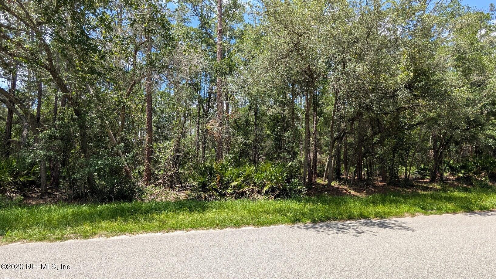 301 Whispering Pines Road Georgetown, FL 32139 - Photo 8 of 12 8
