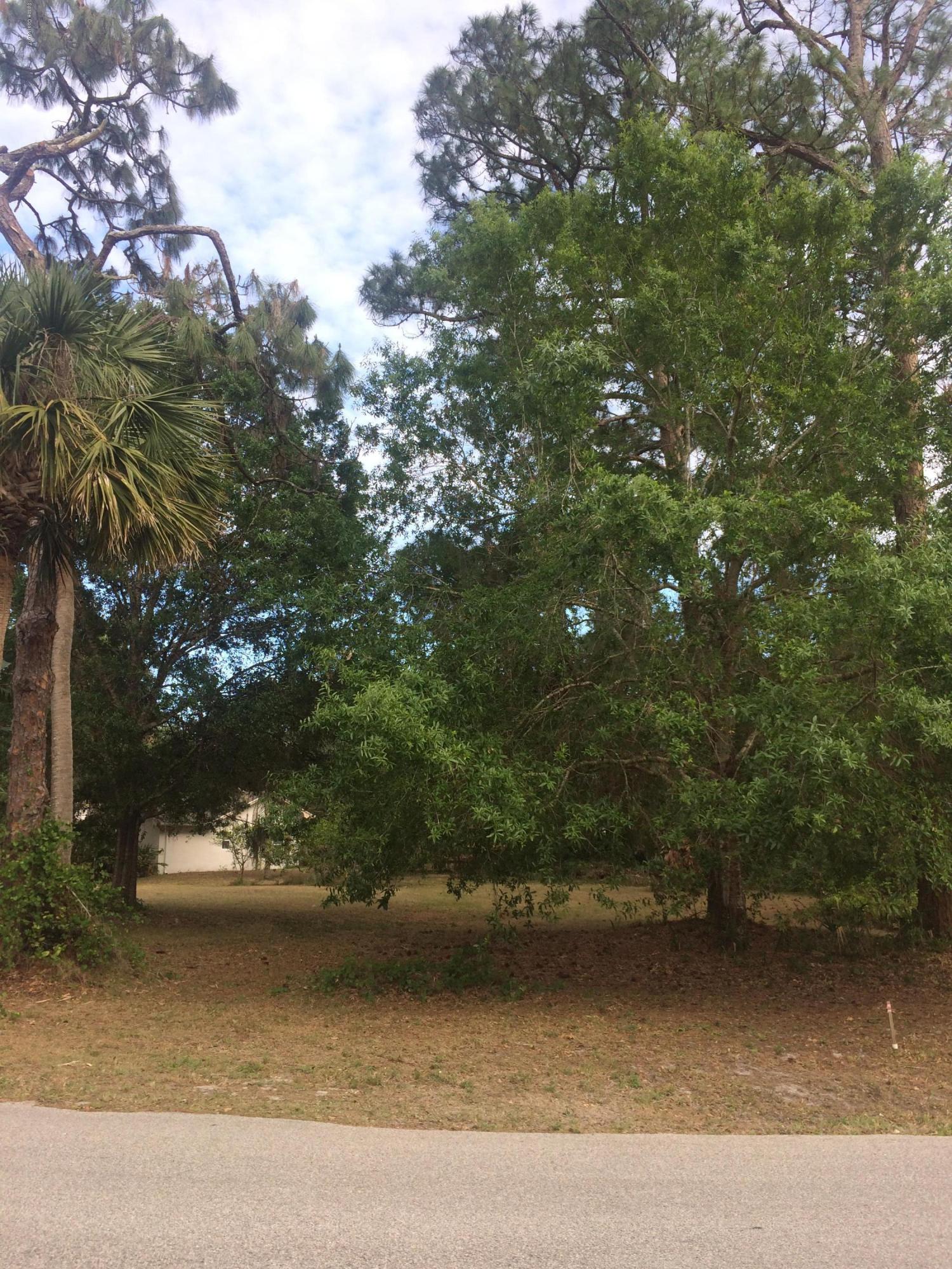 0 Canal Road Melbourne, FL 32904 - Photo 11 of 13 IMG_7753