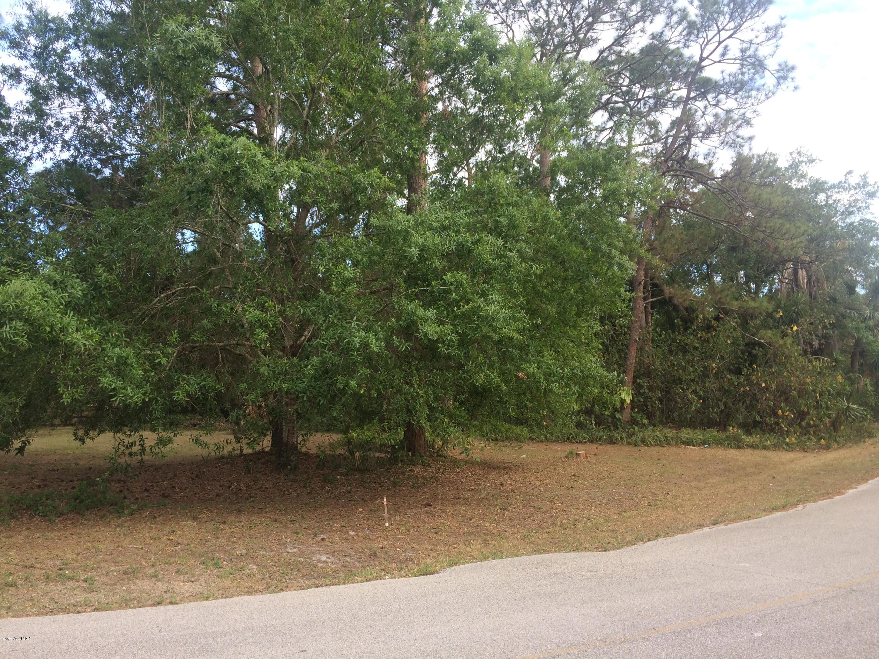 0 Canal Road Melbourne, FL 32904 - Photo 10 of 13 IMG_7752