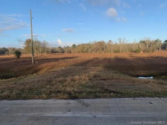 $350,000 | 1751 Highway 165, Kinder, LA 70648