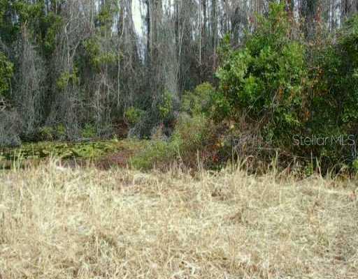 0 Sierra Road Land O Lakes, FL 34639 - Photo 1 of 1 Exterior Front