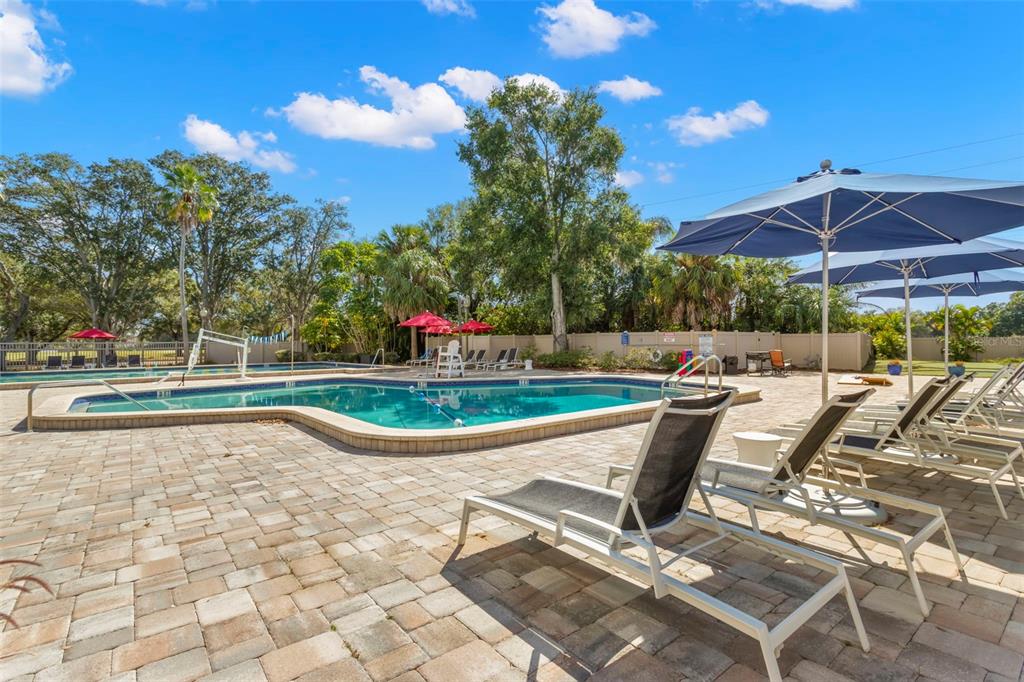 121 Cypress Lane, Unit 121 Oldsmar, FL 34677 - Photo 29 of 37