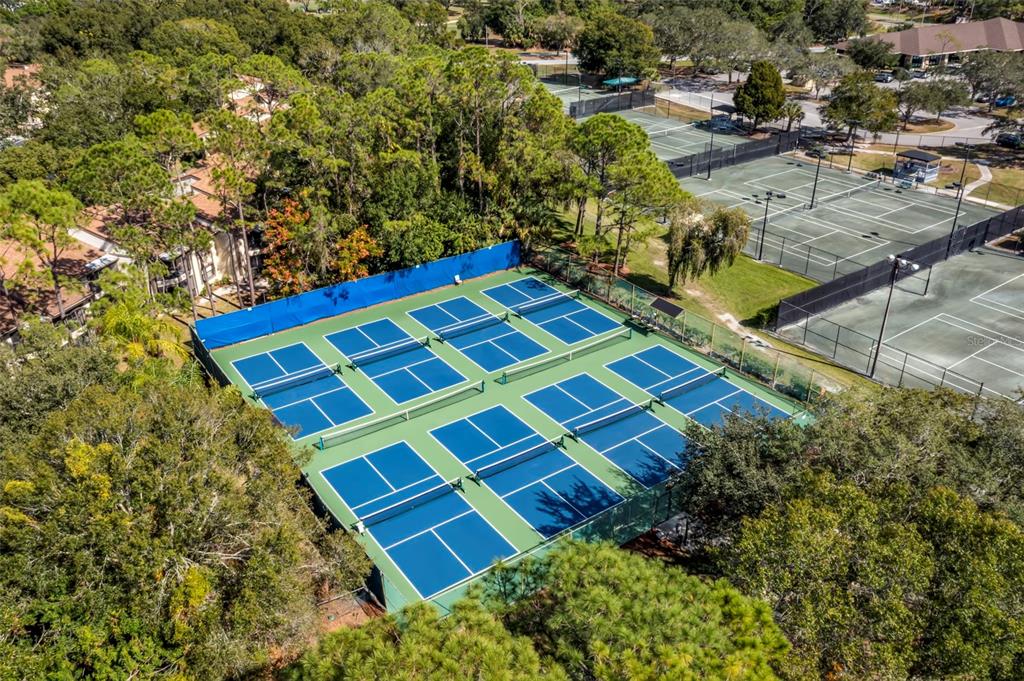 121 Cypress Lane, Unit 121 Oldsmar, FL 34677 - Photo 34 of 37