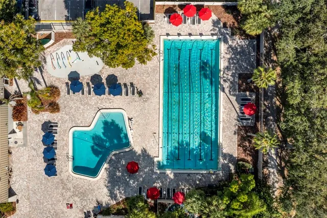 $1,825 | 121 Cypress Lane, Unit 121, Oldsmar, FL 34677