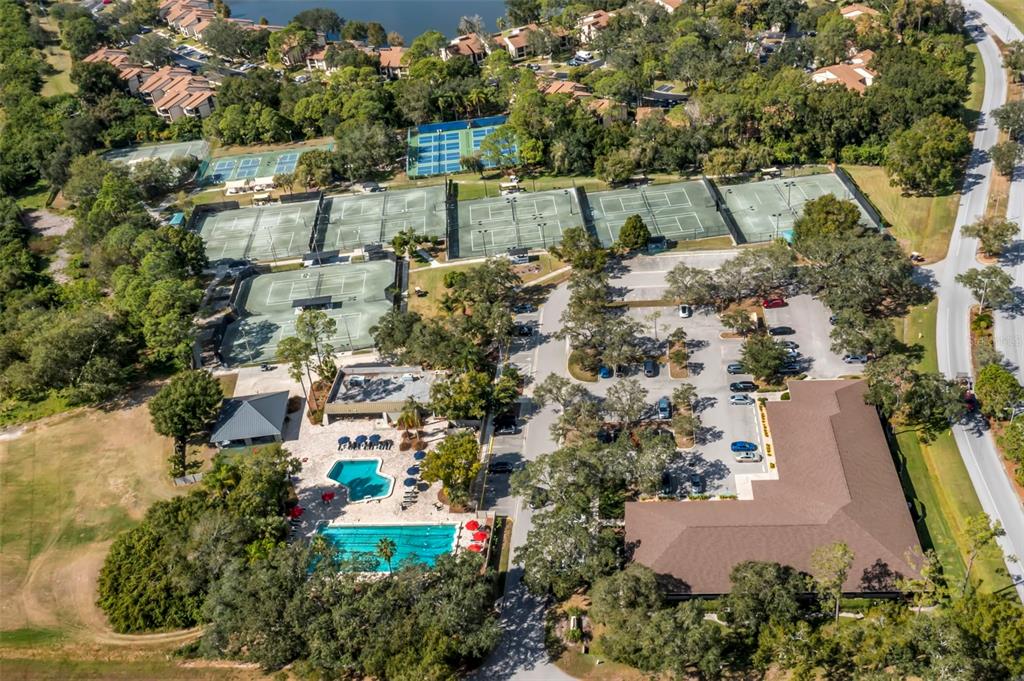 121 Cypress Lane, Unit 121 Oldsmar, FL 34677 - Photo 36 of 37