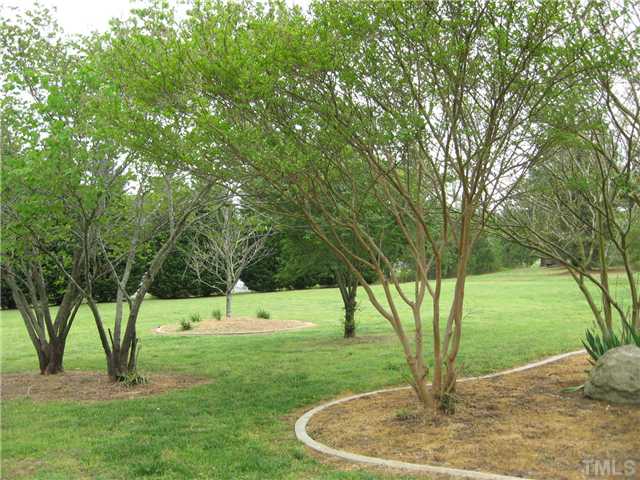 1001 Fieldgrass Place Raleigh, NC 27603 - Photo 8 of 20 THIS IS YOUR PRIVATE VIEW FROM REAR OF HOME