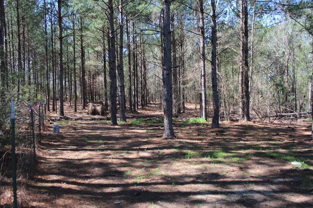 0 Benton Store Road Webb, AL 36376 - Photo 1 of 1