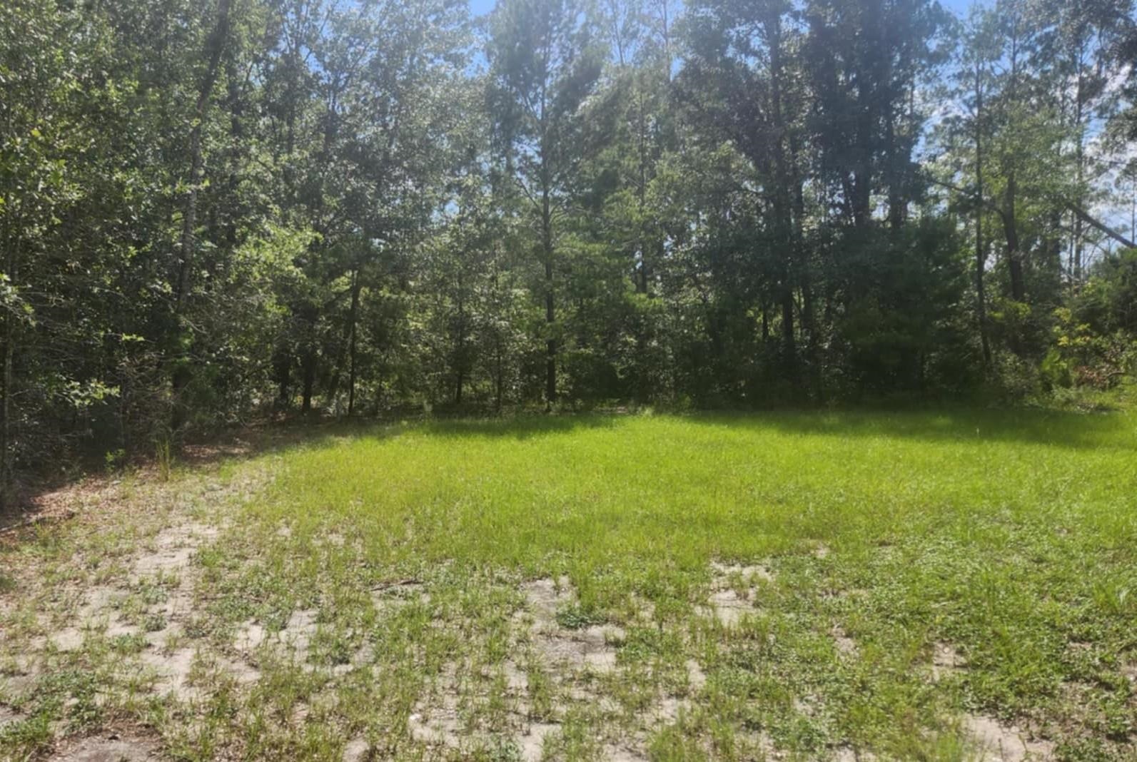 2407 Mary Esther Lane Perry, FL 32348 - Photo 11 of 14