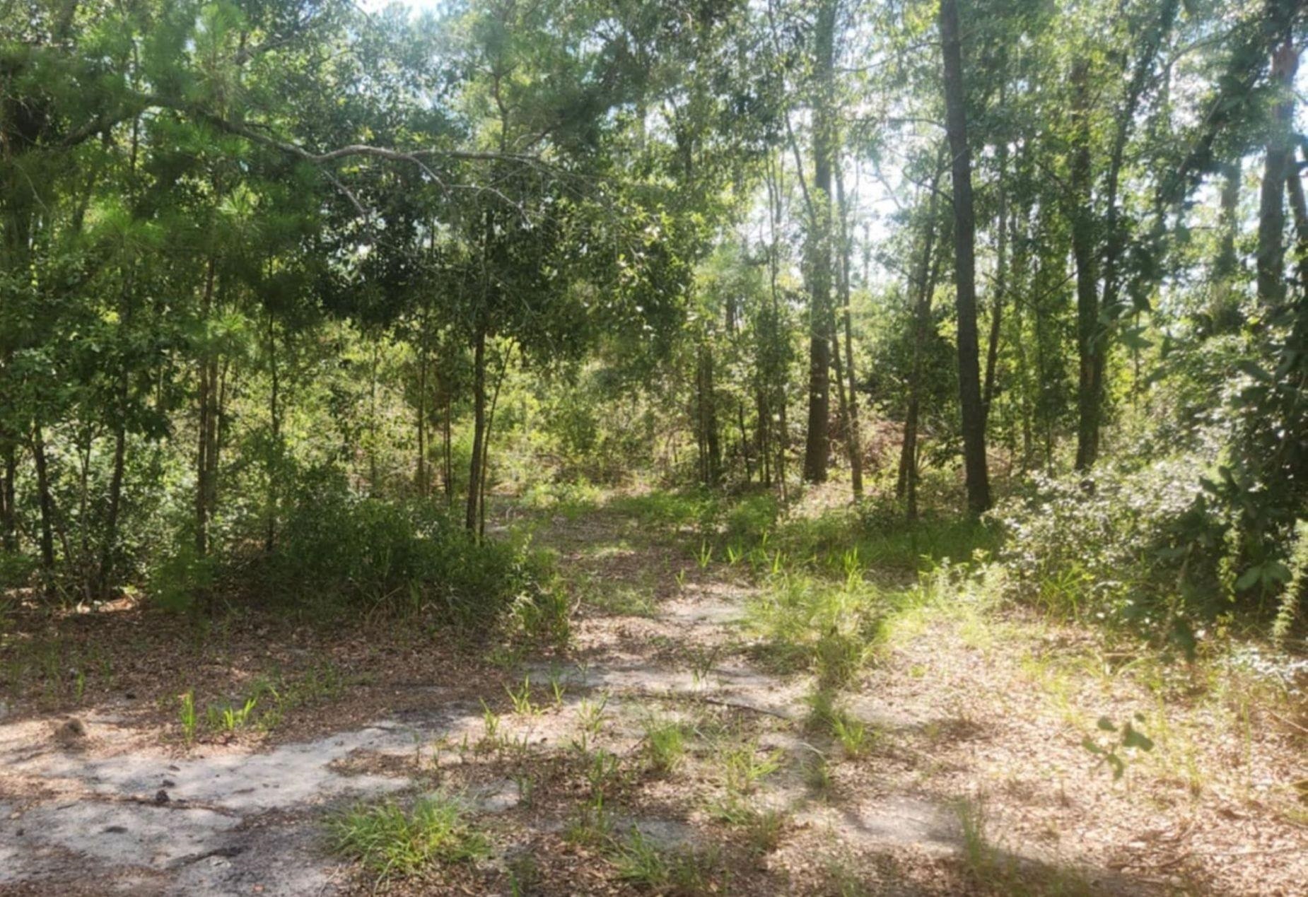 2407 Mary Esther Lane Perry, FL 32348 - Photo 7 of 14