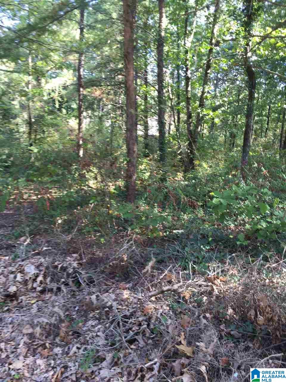 4196 South Shades Crest Road, Unit 1 Birmingham, AL 35244 - Photo 3 of 4