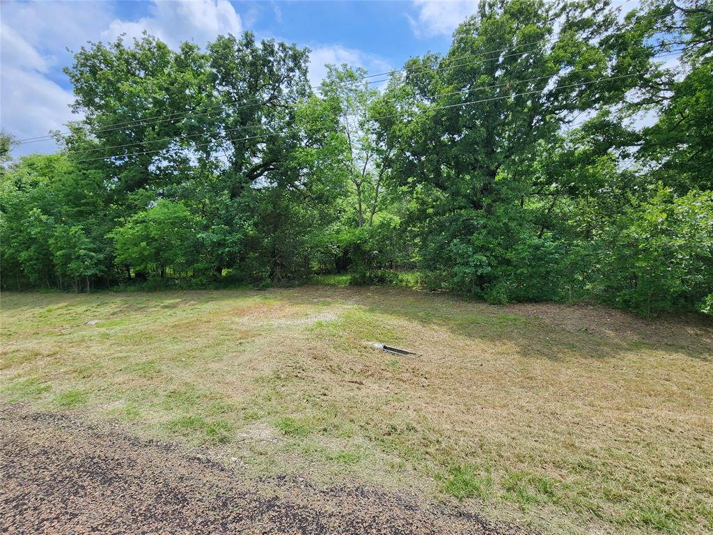 0 Rand Road Kaufman, TX 75142 - Photo 4 of 10 a view of a large yard with lots of green space