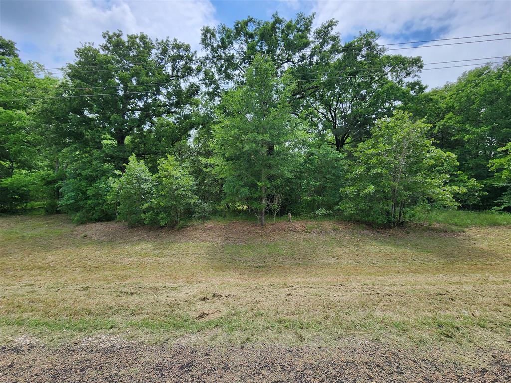 0 Rand Road Kaufman, TX 75142 - Photo 6 of 10 a view of a yard with a tree