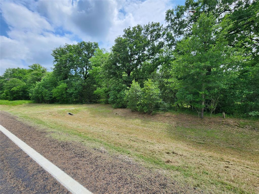 0 Rand Road Kaufman, TX 75142 - Photo 7 of 10 a view of a yard with a tree