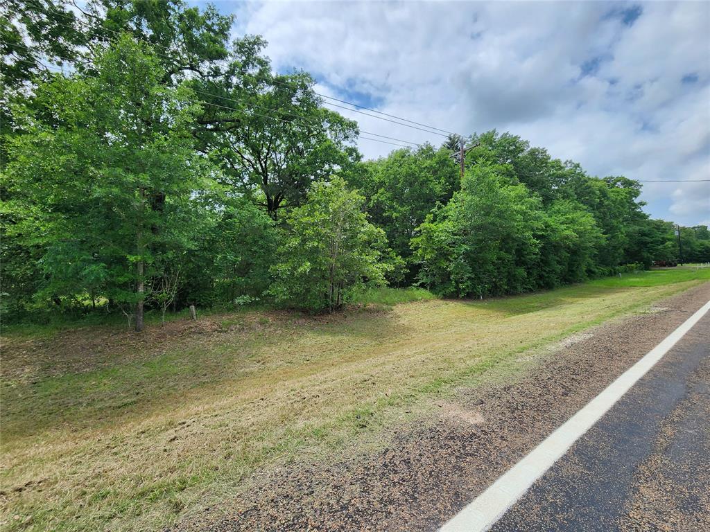0 Rand Road Kaufman, TX 75142 - Photo 8 of 10 a view of a yard with a tree