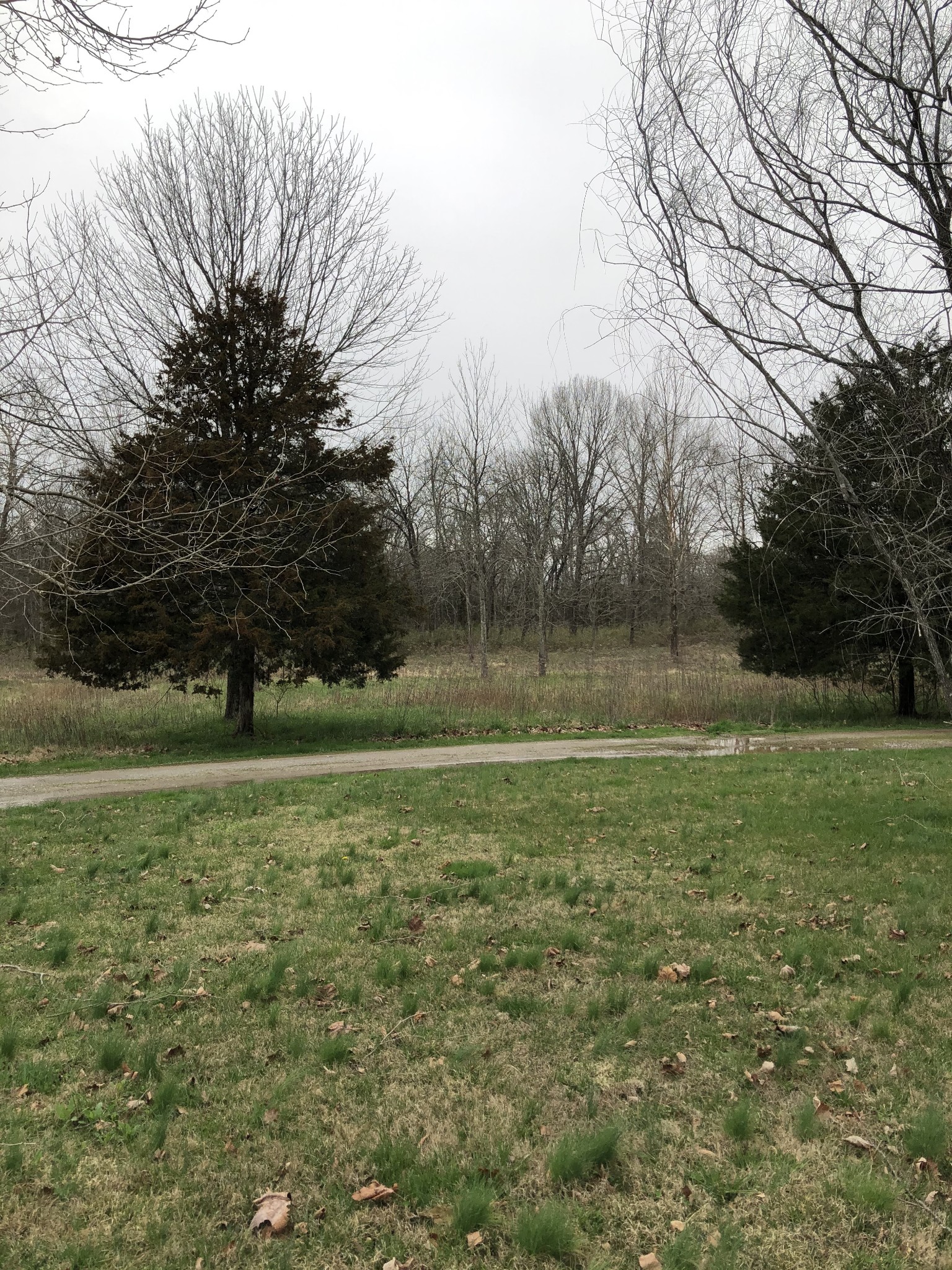 5116 Kedron Road Columbia, TN 38401 - Photo 3 of 10 a view of a field