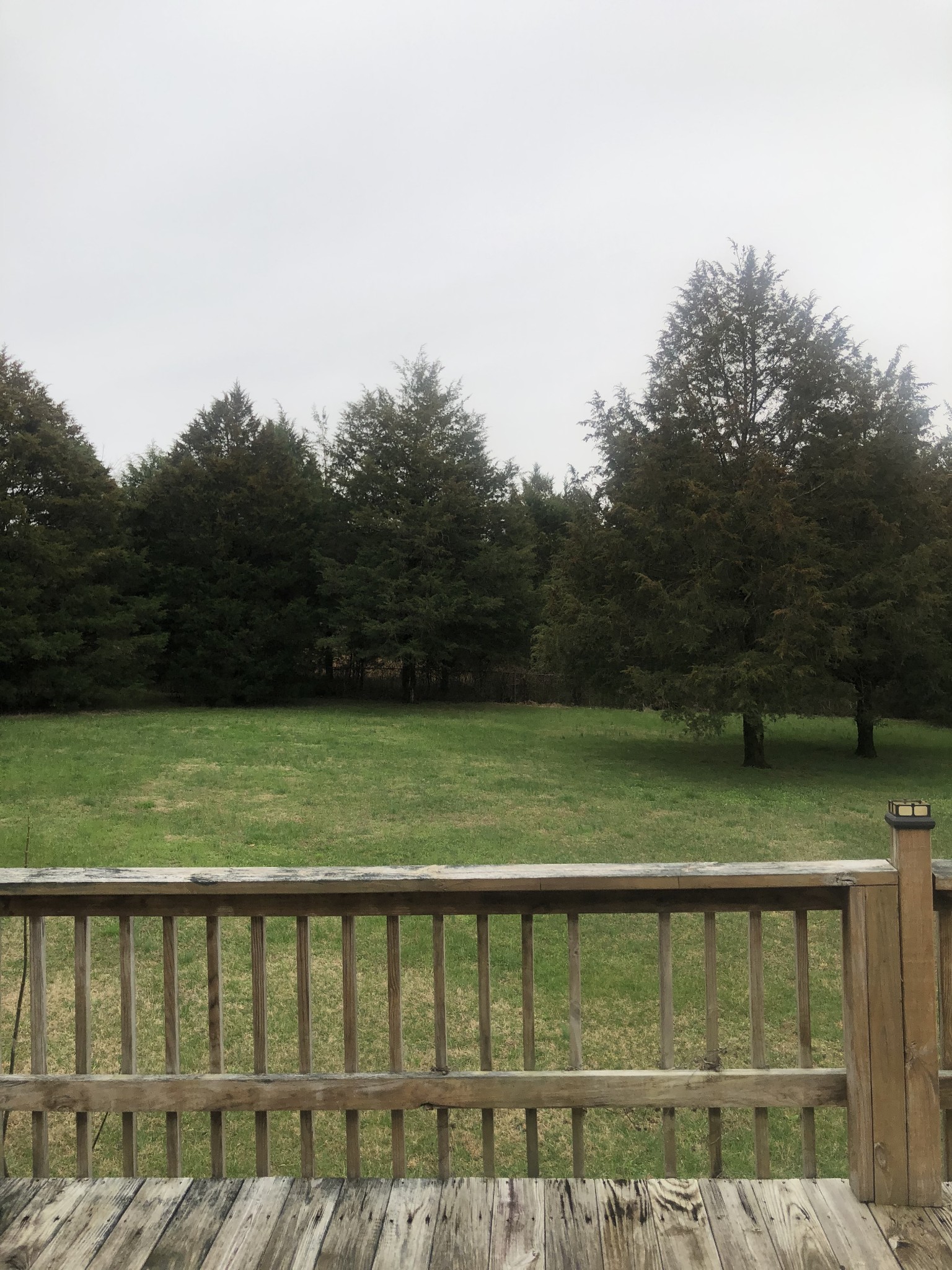 5116 Kedron Road Columbia, TN 38401 - Photo 4 of 10 a view of a green field