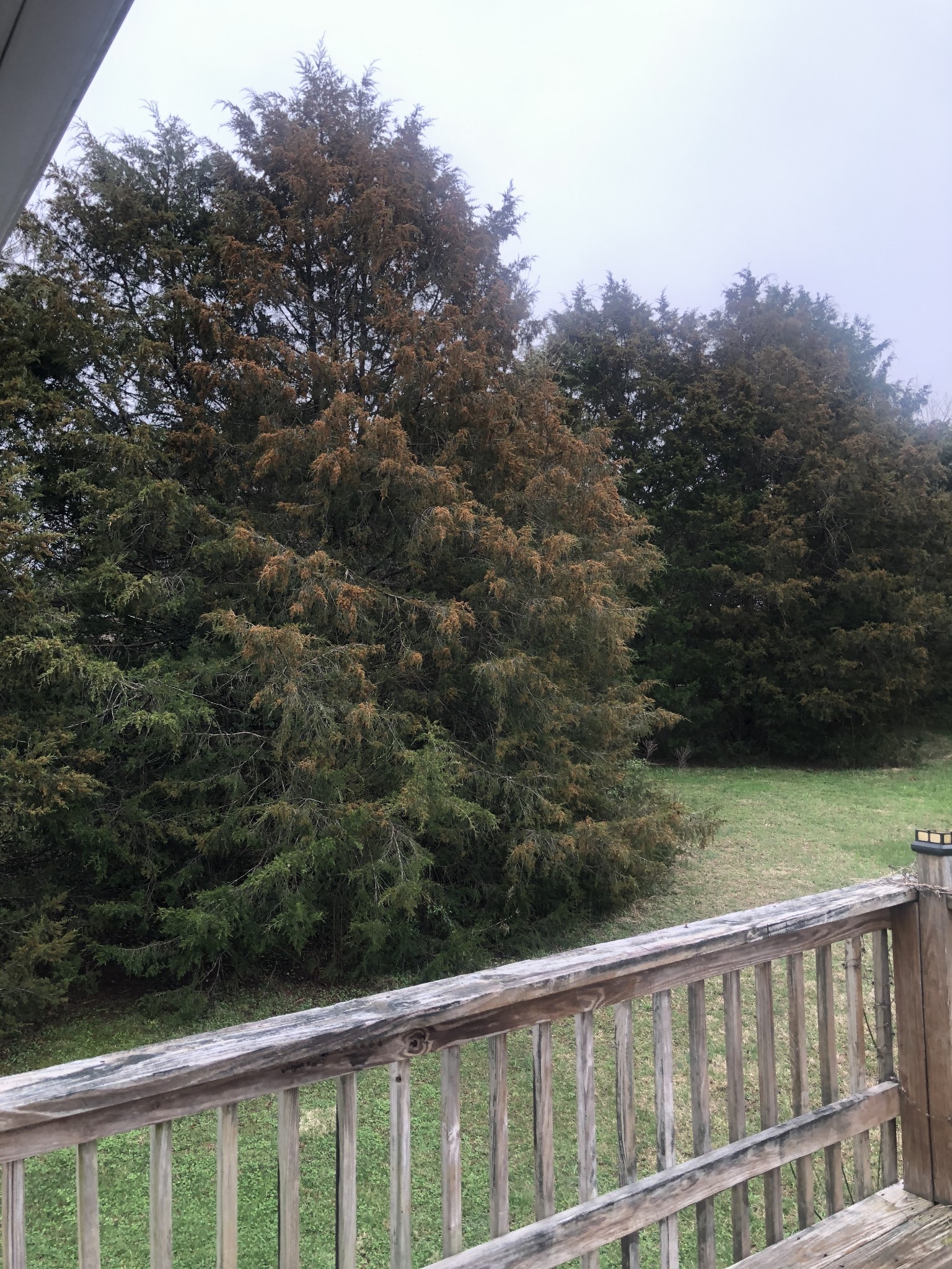 5116 Kedron Road Columbia, TN 38401 - Photo 5 of 10 a view of a balcony with an outdoor space