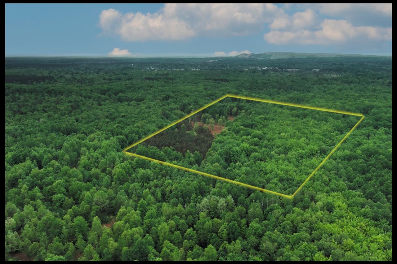 0 Thurman Road Thompsonville, MI 49683 - Photo 2 of 52