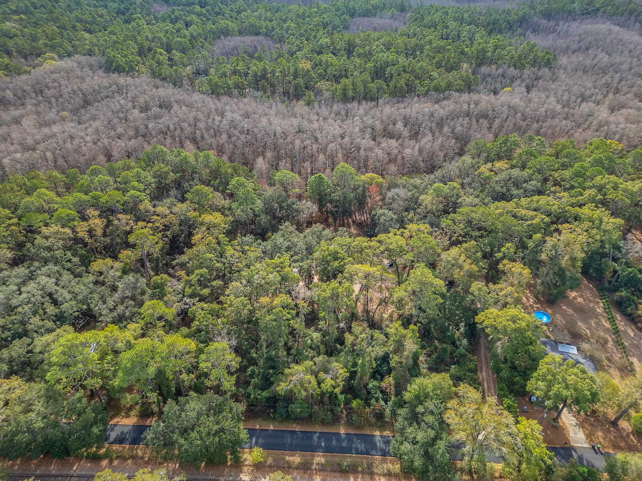 9201 Road To The Lake Road Tallahassee, FL 32317 - Photo 18 of 27