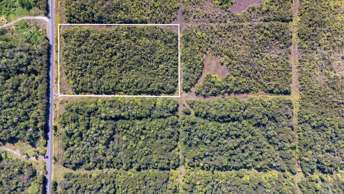 a bathroom with a shower curtain