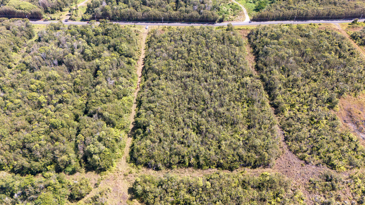 4 North Glenwood Road Mountain View, HI 96771 - Photo 2 of 7 a view of a yard with an outdoor space