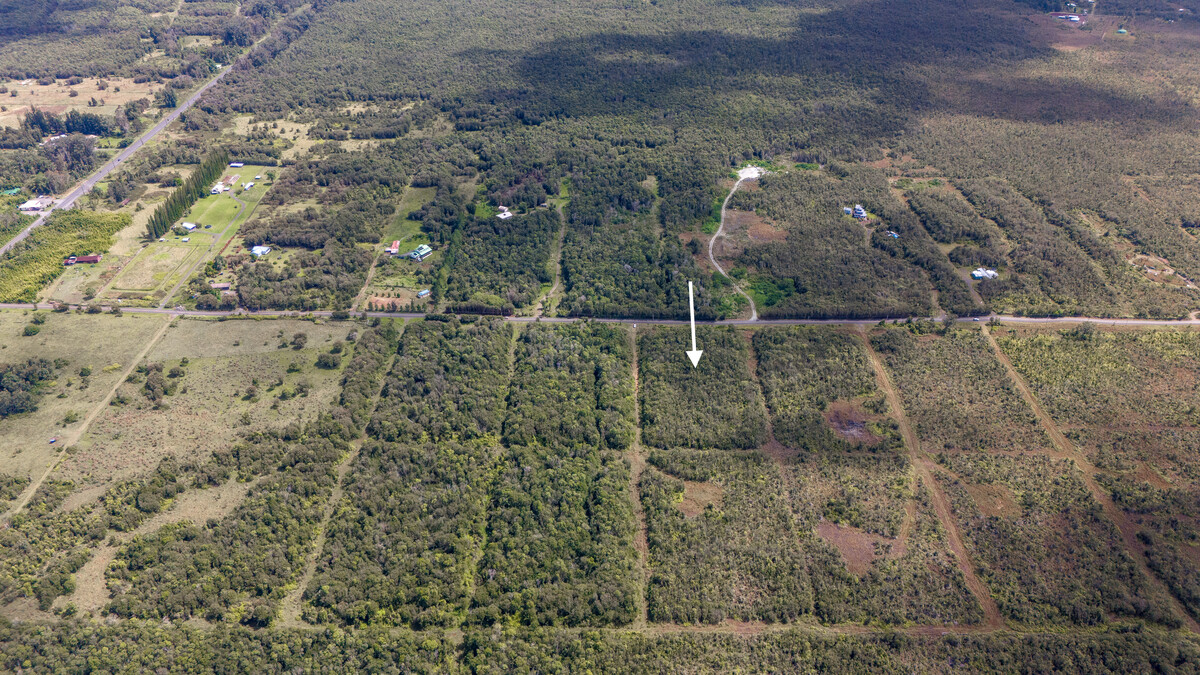 4 North Glenwood Road Mountain View, HI 96771 - Photo 3 of 7 a view of a dry yard