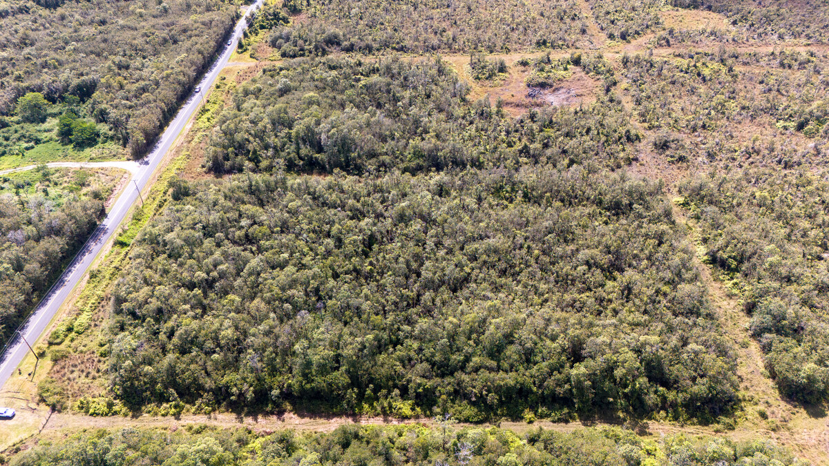 4 North Glenwood Road Mountain View, HI 96771 - Photo 5 of 7 a view of a yard with wooden wall