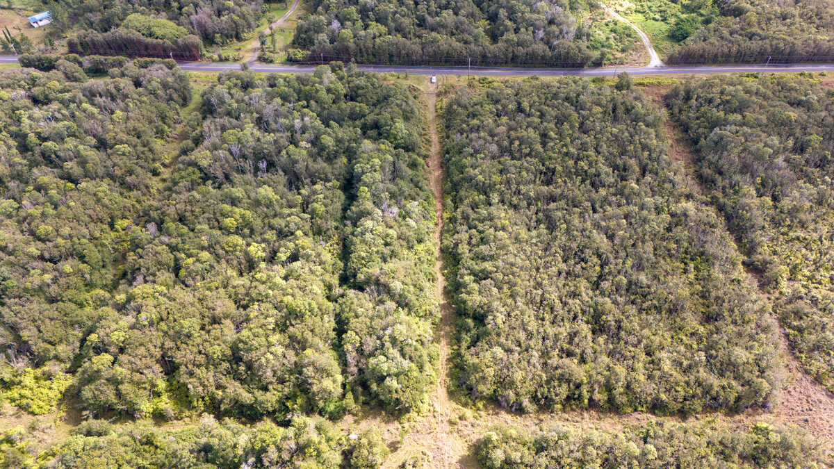 4 North Glenwood Road Mountain View, HI 96771 - Photo 6 of 7 a view of a lake view