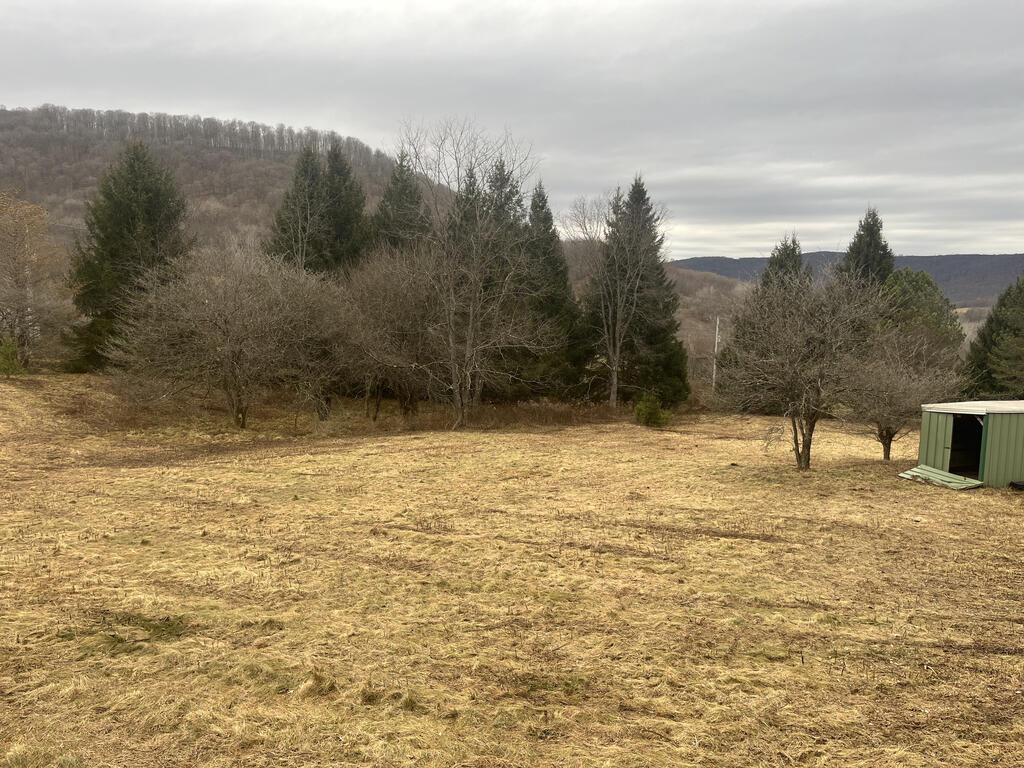 105 Dogwood Road Smethport, PA 16749 - Photo 3 of 14 Gallery Image 3