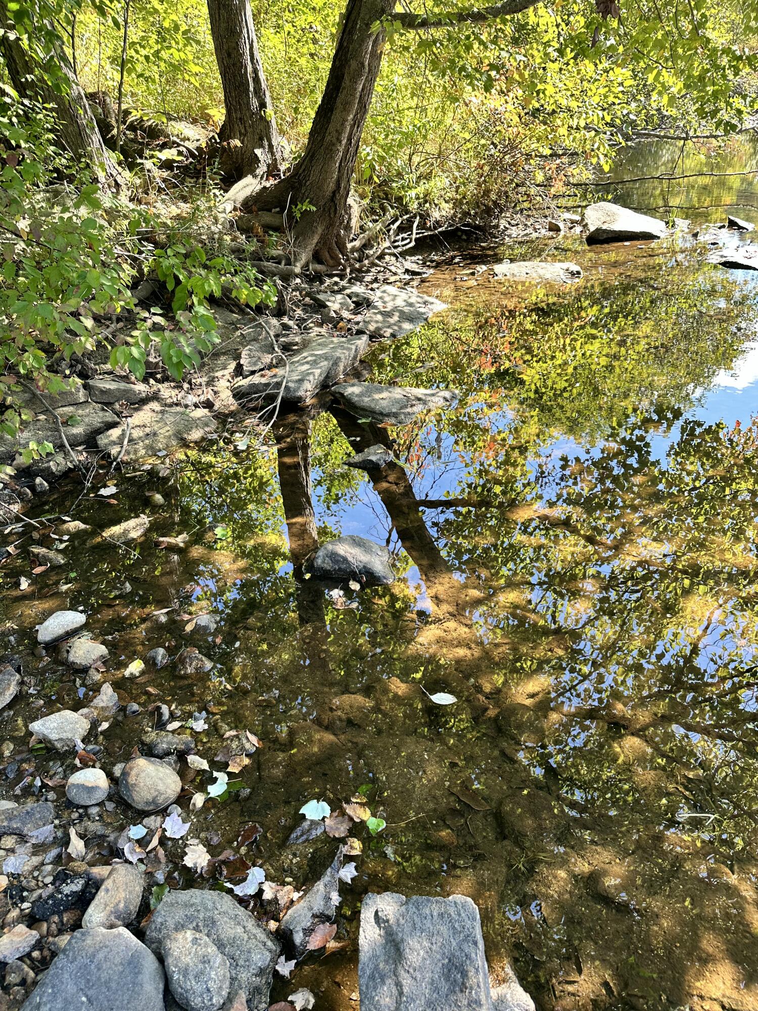 16 Forgotten Alley Waterford, ME 04088 - Photo 39 of 50 Waterfront