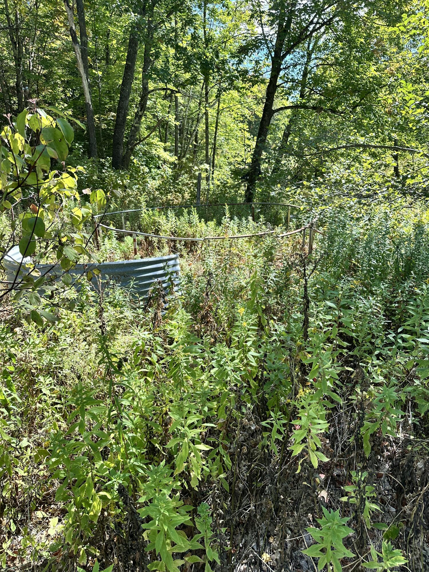 16 Forgotten Alley Waterford, ME 04088 - Photo 47 of 50 Back Yard