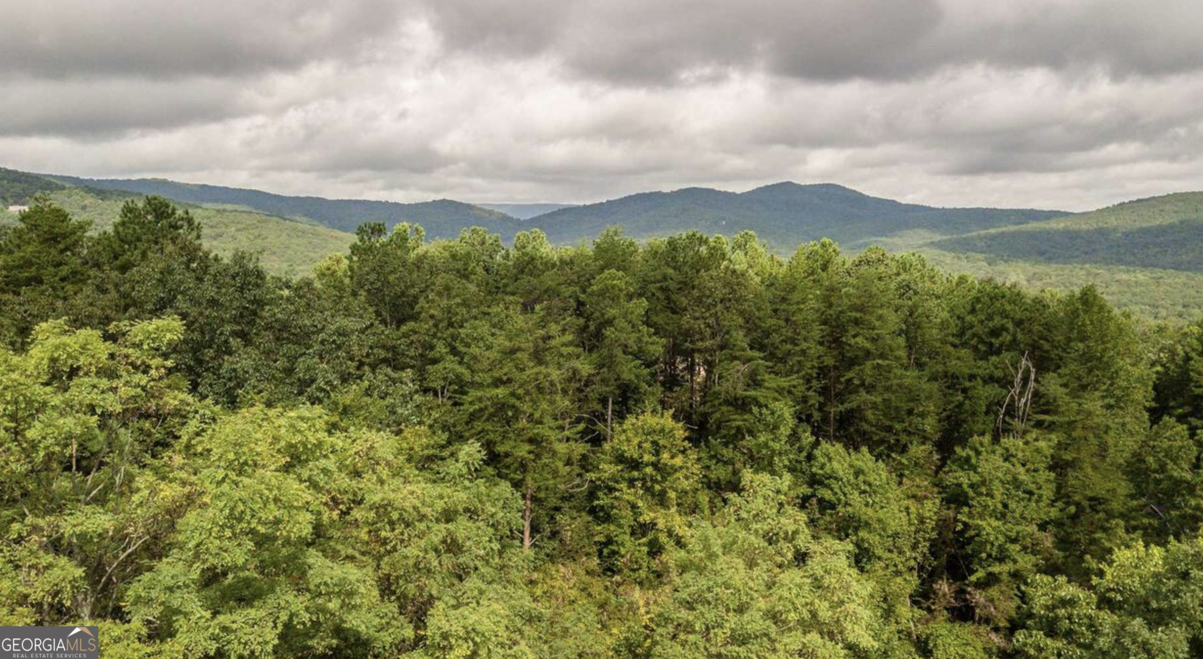0 Bear Gap Road, Unit 7 Clarkesville, GA 30523 - Photo 1 of 1 a view of a bunch of trees and bushes