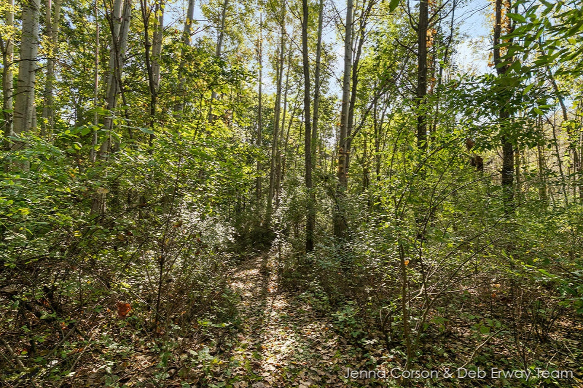8501 Keller Road Delton, MI 49046 - Photo 16 of 30 IMG_1015