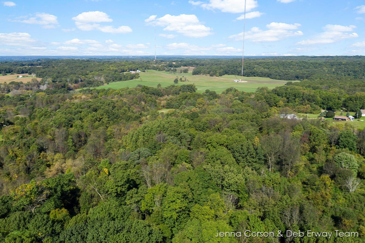 8501 Keller Road Delton, MI 49046 - Photo 29 of 30 IMG_1028