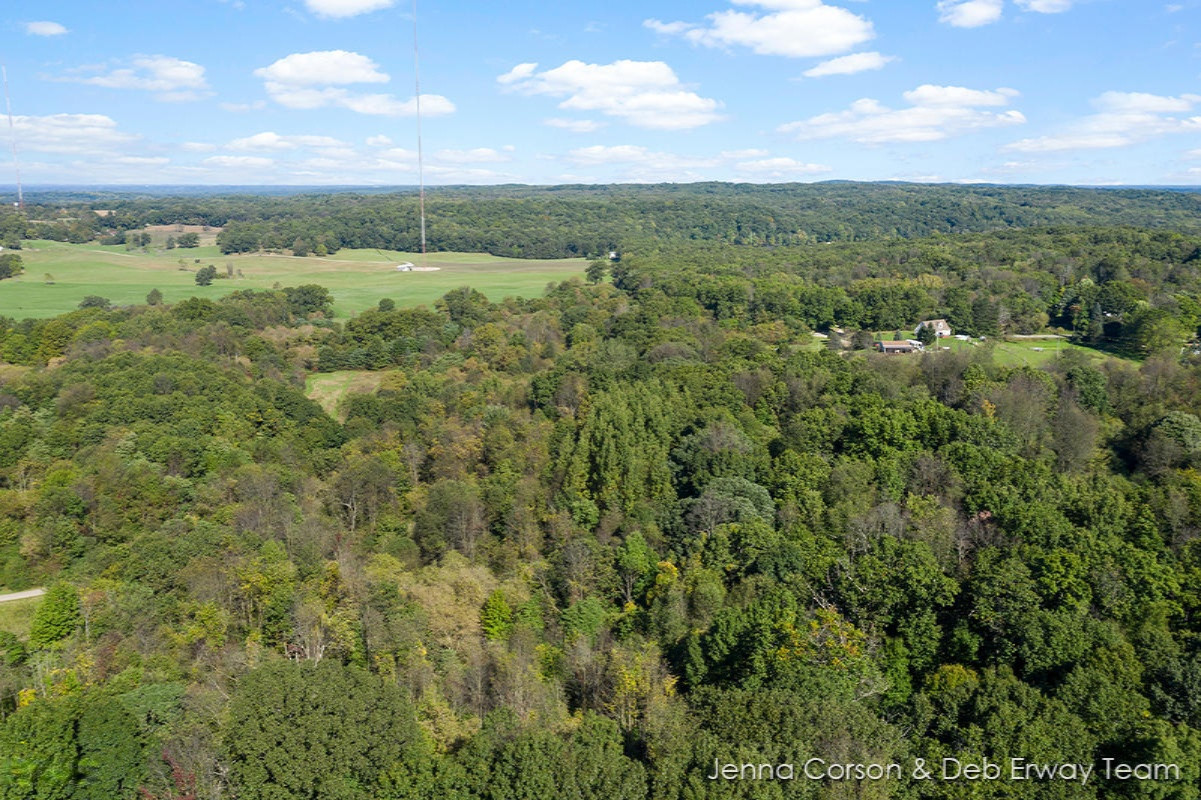 8501 Keller Road Delton, MI 49046 - Photo 30 of 30 IMG_1029