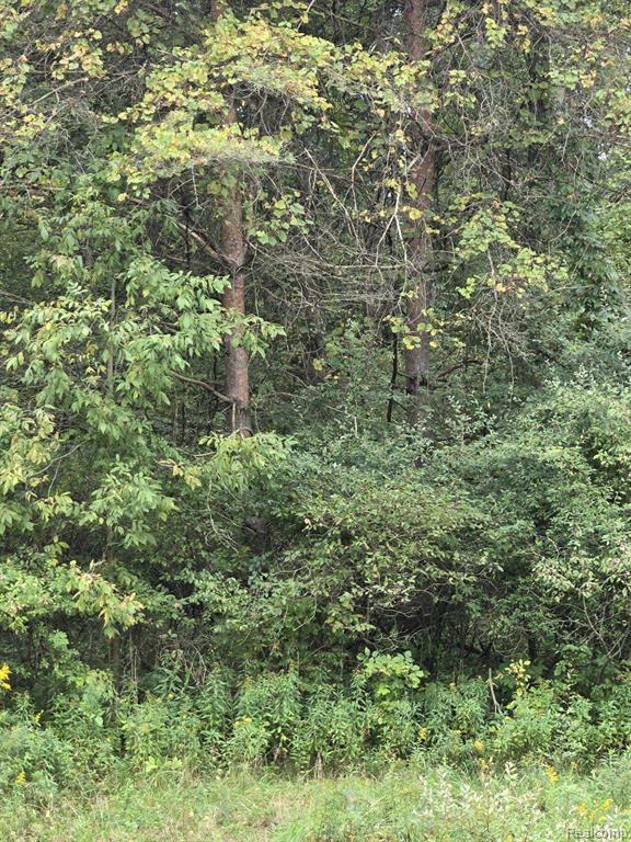 V/l Shay Lake Road Detroit, MI 48219 - Photo 2 of 4 Gallery Image 2